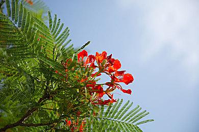 《空洞骑士：丝之歌》全新预告 发售日期待定